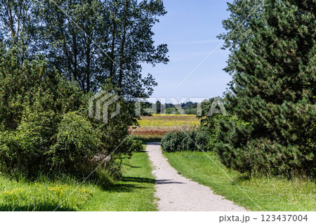 A Serene Pathway That Leads You Through a Lush and Vibrant Green Landscape Awaits for You 123437004