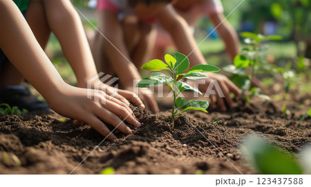 子どもたちの手元、木を植えながら自然と共生. 123437588
