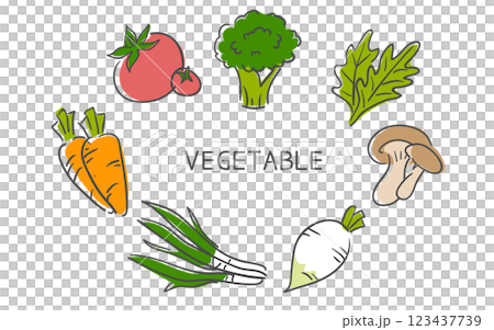 Hand-drawn of vegetables collection Hand-drawn of vegetables collection 123437739