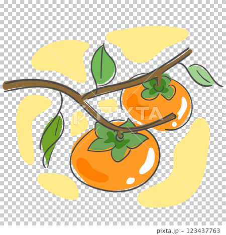 An illustration of a persimmon tree 123437763