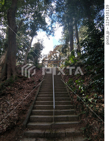 茨城県水戸市飯富町　歴史ある大井神社 123438139