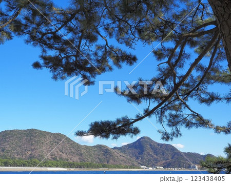 静岡県　牛臥山公園からの景色　2月 123438405