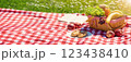Checkered duvet lying on the fresh green grass and wicker picnic basket fresh food and drink standing on it. 123438410