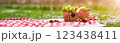 Checkered duvet lying on the fresh green grass and wicker picnic basket fresh food and drink standing on it. 123438411