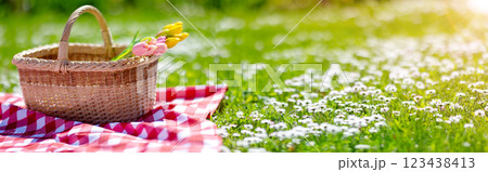 Checkered duvet lying on the fresh green grass and wicker picnic basket with bunch of tulips standing on it. 123438413