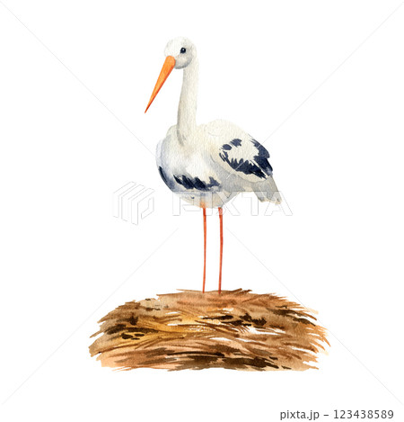 white stork in the nest on white background, wild flying bird in wildlife, watercolor illustration of animal life, hand drawn sketch of symbol of the birth of a child 123438589