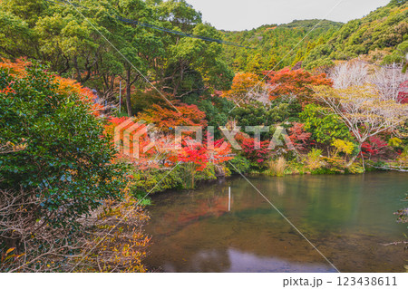 田原市にある滝頭公園の秋の紅葉した山と池の風景(愛知県) 田原市にある滝頭公園の秋の紅葉した山と池の風景(愛知県) 123438611