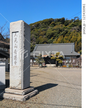 人見山 青蓮寺(君津市) 人見山 青蓮寺(君津市) 123438961