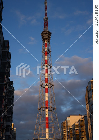 Behold the Amazing Tokyo Tower Standing Tall Against the Expansive Blue Sky Above 123439190
