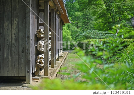 緑に包まれた農村風景 123439191
