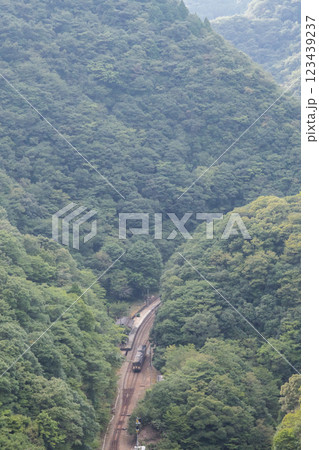 【土讃線】坪尻駅に到着する普通列車 123439237