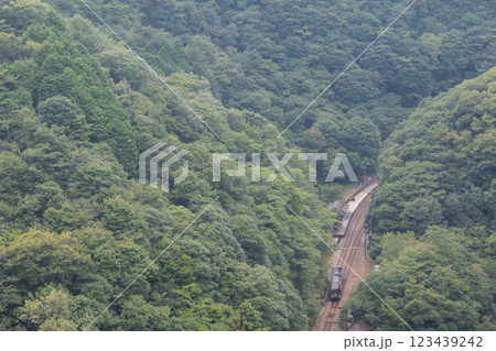 【土讃線】坪尻駅にスイッチバックで入る普通列車 123439242
