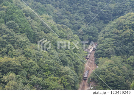 【土讃線】坪尻駅で行き違う普通列車 123439249