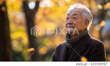 秋の公園で物思いにふける高齢の男性 123439767