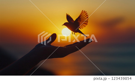 夕暮れの空へ飛び立つ鳥と手のシルエット 123439854