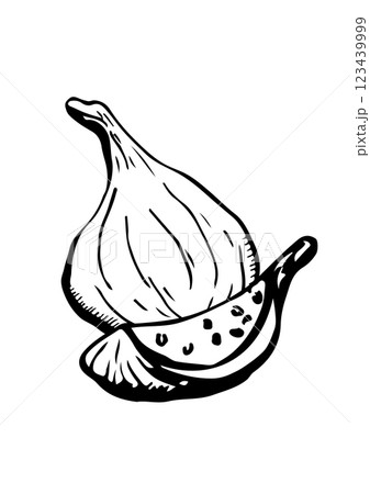 figs fruit vector sketch 123439999