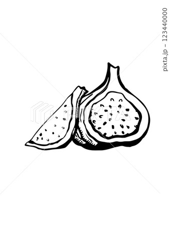 figs fruit vector sketch figs fruit vector sketch 123440000