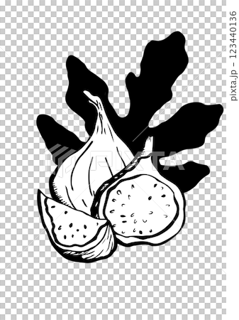 figs fruit and leaf vector sketch 123440136