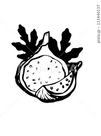 figs fruit leaf vector sketch figs fruit leaf vector sketch 123440137