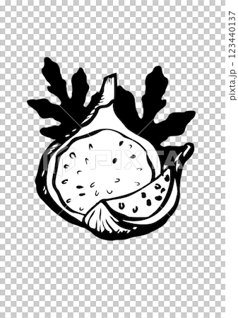 figs fruit leaf vector sketch figs fruit leaf vector sketch 123440137