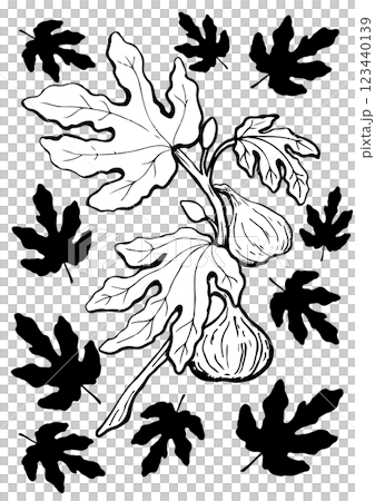 figs branch fruit with leaf vector sketch set figs branch fruit with leaf vector sketch set 123440139