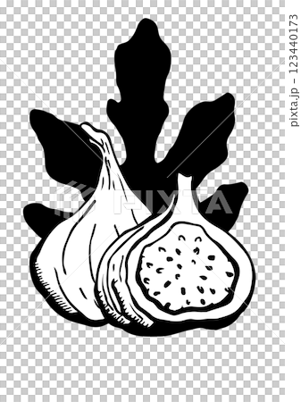 figs fruit and leaf ector sketch figs fruit and leaf ector sketch 123440173