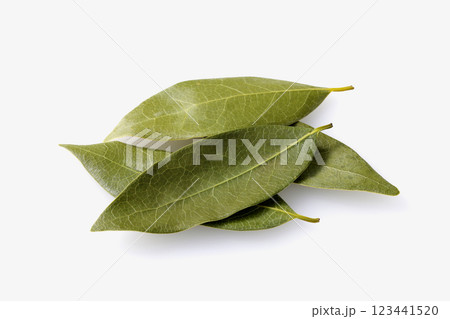 ローリエの葉 123441520