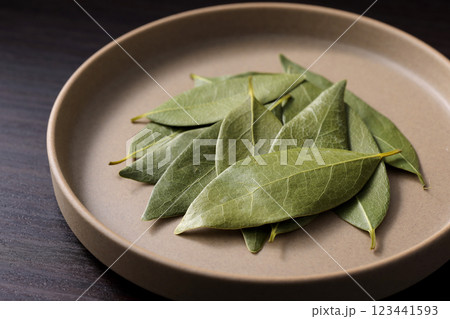 ローリエの葉 123441593