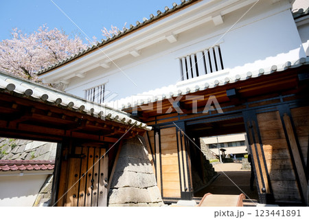 福井県福井市_福井城御廊下橋御門1_2024年4月 123441891