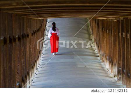 神社 回廊 巫女・・3 123442511