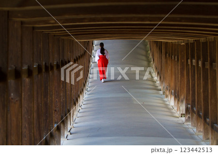 神社 回廊 巫女・・2 神社 回廊 巫女・・2 123442513