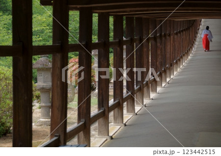 神社 回廊 巫女・・1 123442515