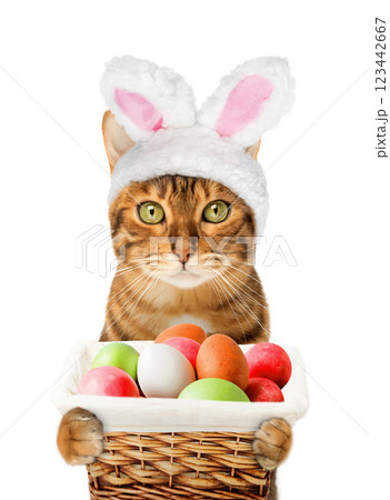 Easter cat with rabbit ears holding a basket with eggs. 123442667