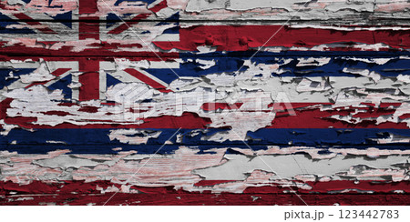 Flag of Hawaii painted on a wooden board 123442783