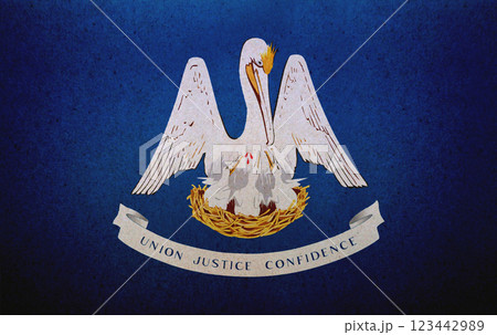 Flag of Louisiana printed on a paper 123442989