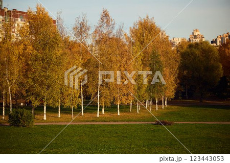 A picturesque autumn park landscape adorned with stunning golden foliage during fall 123443053