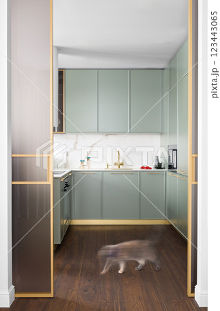 A Stylish and Modern Kitchen Featuring an Elegant Design Accompanied by a Feline Companion A Stylish and Modern Kitchen Featuring an Elegant Design Accompanied by a Feline Companion 123443065