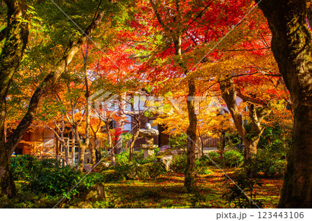 【京都風景】圓光寺　絶景の紅葉をいつまでも見ていたい美しさ 123443106