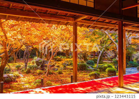 【京都風景】圓光寺　絶景の紅葉をいつまでも見ていたい美しさ 123443115