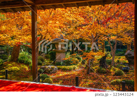 【京都風景】圓光寺　絶景の紅葉をいつまでも見ていたい美しさ 123443124