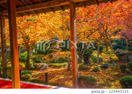 【京都風景】圓光寺　絶景の紅葉をいつまでも見ていたい美しさ 123443125