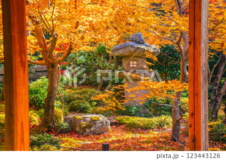 【京都風景】圓光寺　絶景の紅葉をいつまでも見ていたい美しさ 123443126