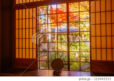 【京都風景】圓光寺　絶景の紅葉をいつまでも見ていたい美しさ 123443151