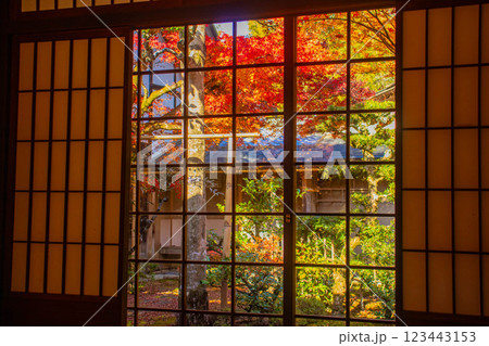 【京都風景】圓光寺 絶景の紅葉をいつまでも見ていたい美しさ 【京都風景】圓光寺 絶景の紅葉をいつまでも見ていたい美しさ 123443153