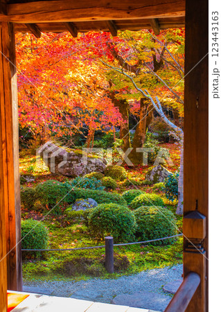 【京都風景】圓光寺　絶景の紅葉をいつまでも見ていたい美しさ 123443163