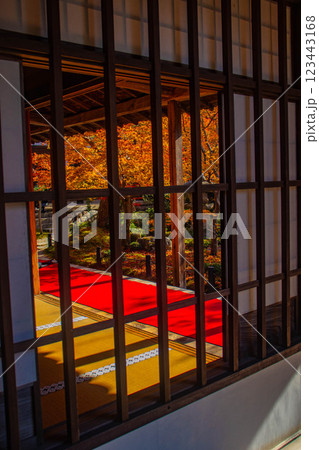 【京都風景】圓光寺 絶景の紅葉をいつまでも見ていたい美しさ 【京都風景】圓光寺 絶景の紅葉をいつまでも見ていたい美しさ 123443168