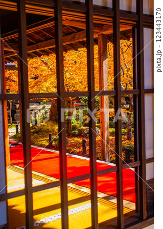 【京都風景】圓光寺　絶景の紅葉をいつまでも見ていたい美しさ 123443170
