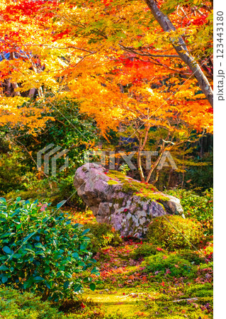 【京都風景】圓光寺　絶景の紅葉をいつまでも見ていたい美しさ 123443180