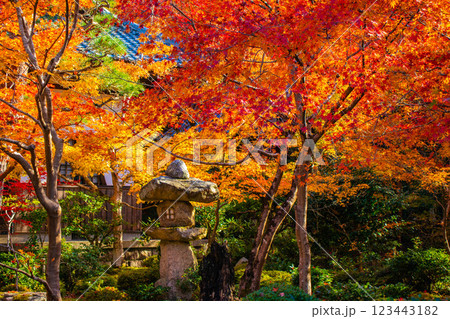 【京都風景】圓光寺 絶景の紅葉をいつまでも見ていたい美しさ 【京都風景】圓光寺 絶景の紅葉をいつまでも見ていたい美しさ 123443182