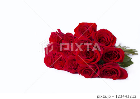 Bouquet of red (burgundy) roses on a white background. Place for text. Close-up, selective focus. Bouquet of red (burgundy) roses on a white background. Place for text. Close-up, selective focus. 123443212